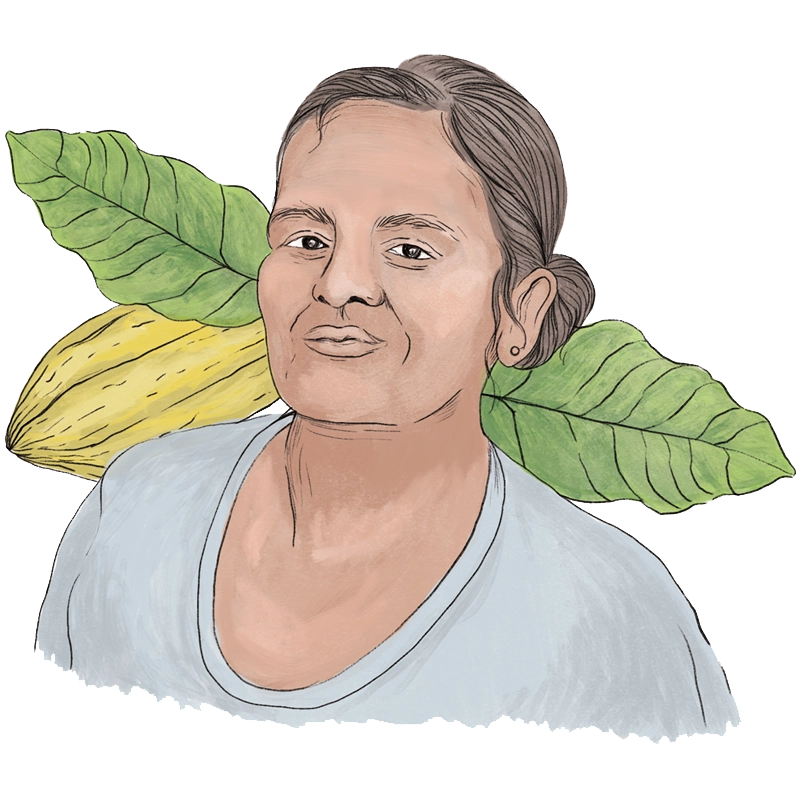 Cocoa Illustration