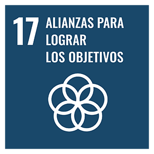 Objetivos de Desarrollo Sostenible: Alianzas para lograr los Objetivos