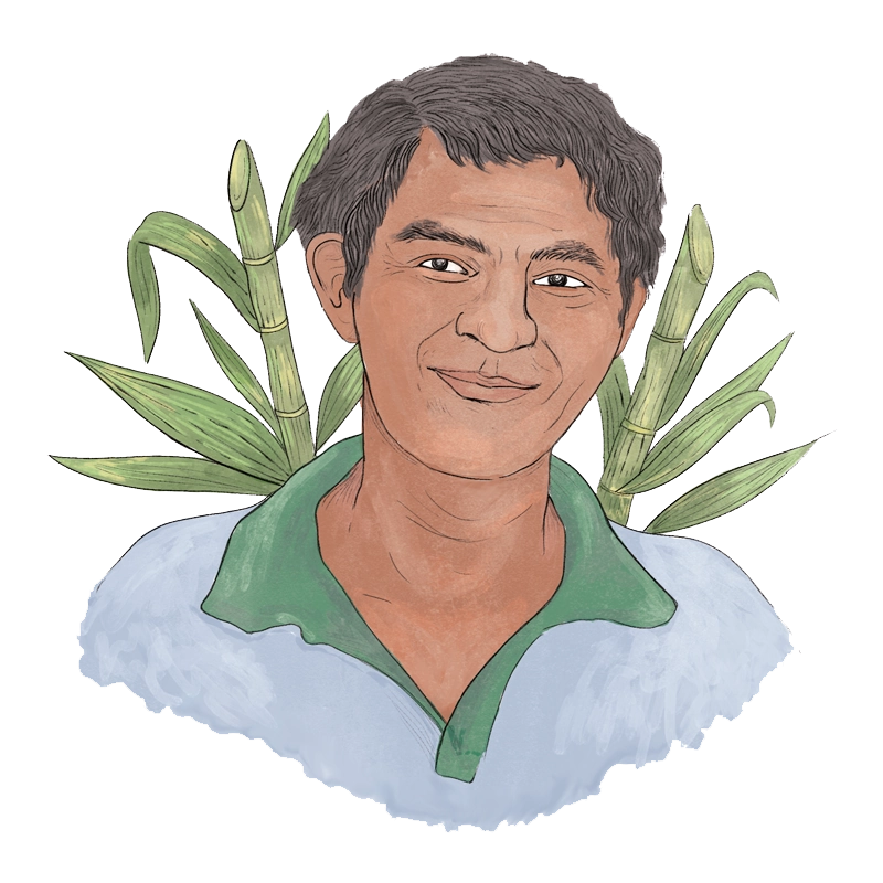 Illustration Panela