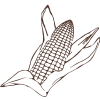Icono Cacao