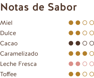 Notas de Sabor (Chocolate con Leche Ecuador 40% Caramelizado)