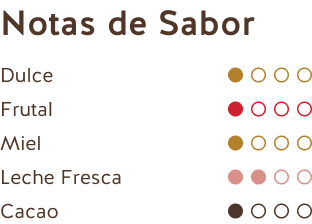 Notas de Sabor (Chocolate con Leche Ecuador + Perú 35%)