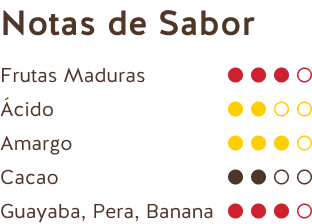 Flavor Notes (Dark Chocolate Ecuador + Peru 70%)