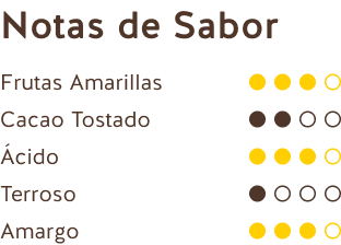Notas de Sabor (Chocolate Negro Ecuador + República Dominicana 70%)