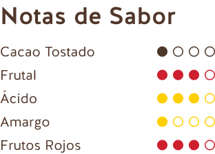 Notas de Sabor (Chocolate Negro Perú 62%)