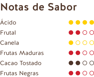 Notas de Sabor (Chocolate Negro República Dominicana 62%)