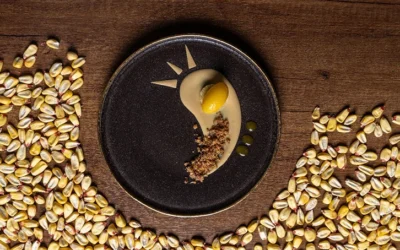 Forjado Bajo el Sol de los Andes, Presentamos nuestro nuevo Chocolate Blanco Ecuador 33% con Maíz Tostado