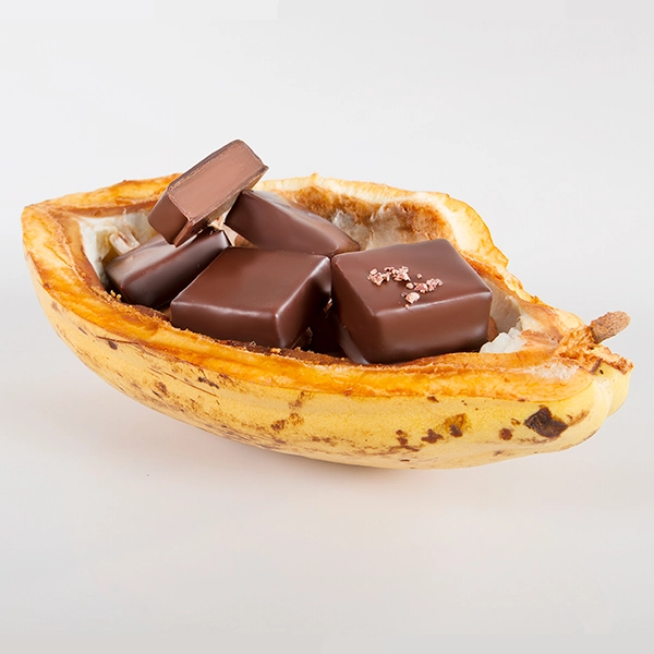 Mazorca de Cacao