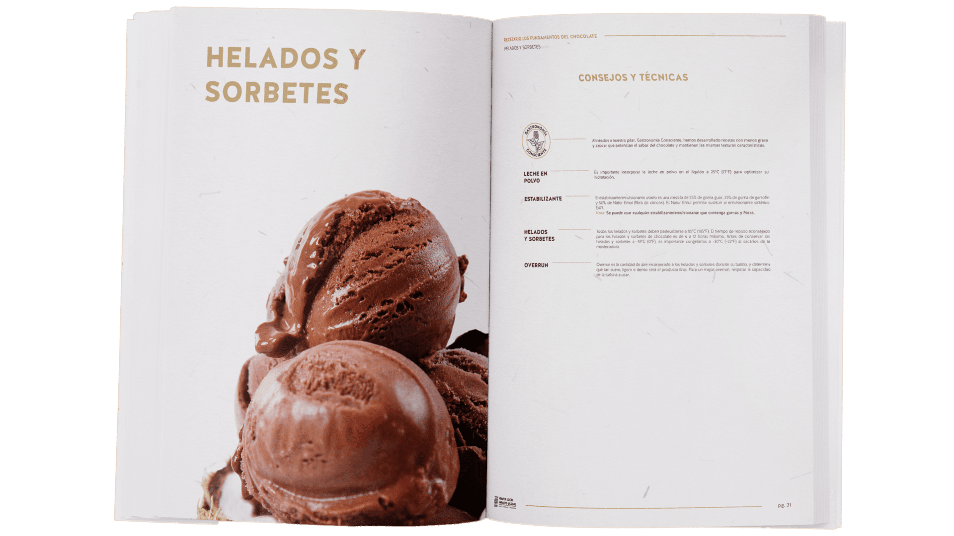Cacao Talks: ¿Por qué ser una Empresa B? - 1