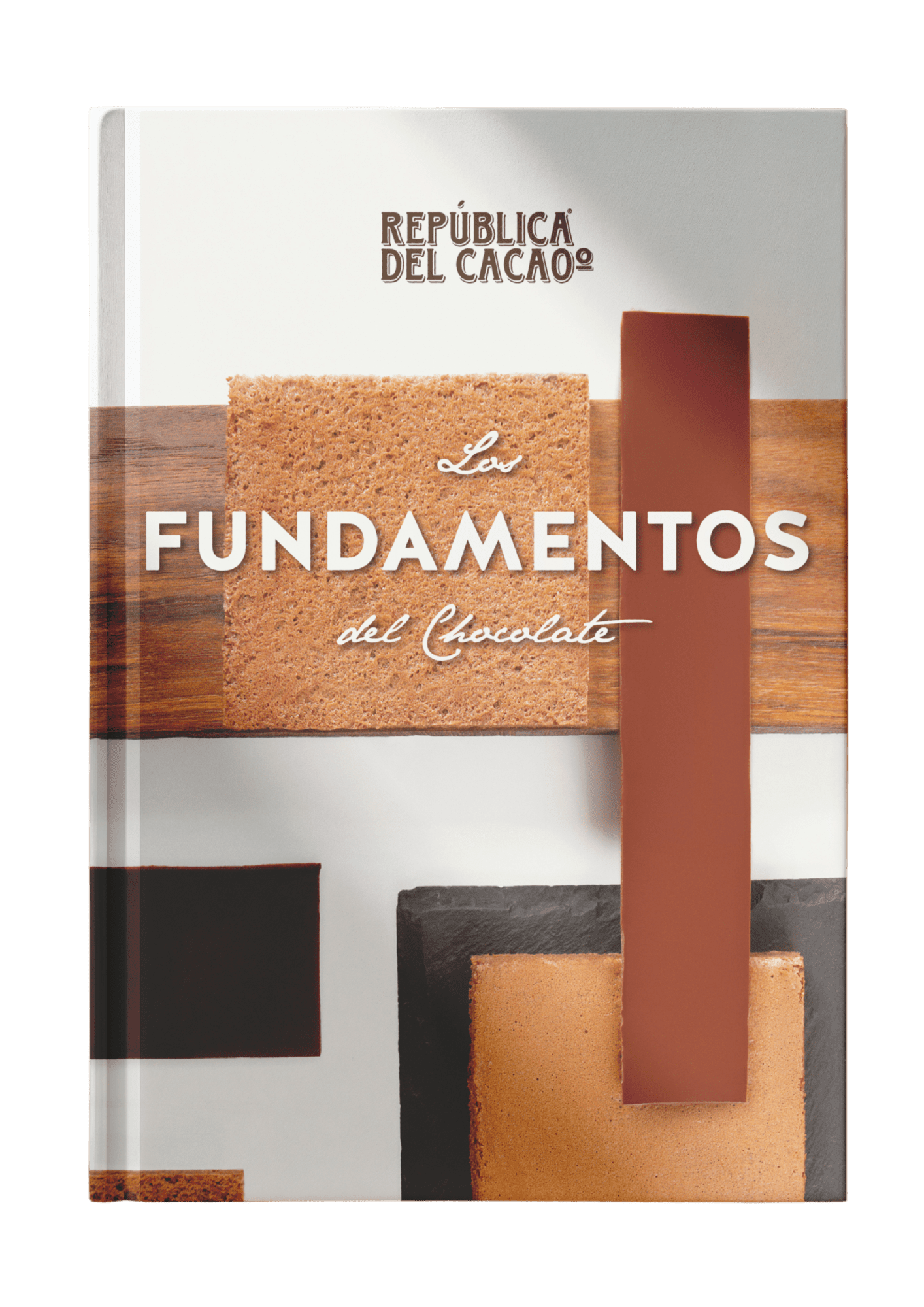 Cacao Talks: ¿Por qué ser una Empresa B? - 1